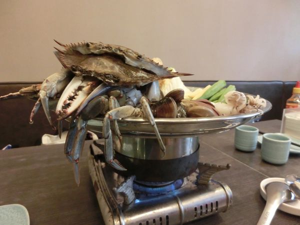【台中 南屯區】 很越南宮廷料理 &#8211; 你一定沒吃過的帽子鍋！（歇業中） @貝大小姐的多元心宇宙