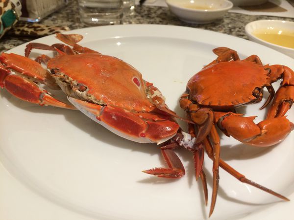 【高雄 中央公園站】 漢來大飯店 海港自助餐廳 @貝大小姐的多元心宇宙