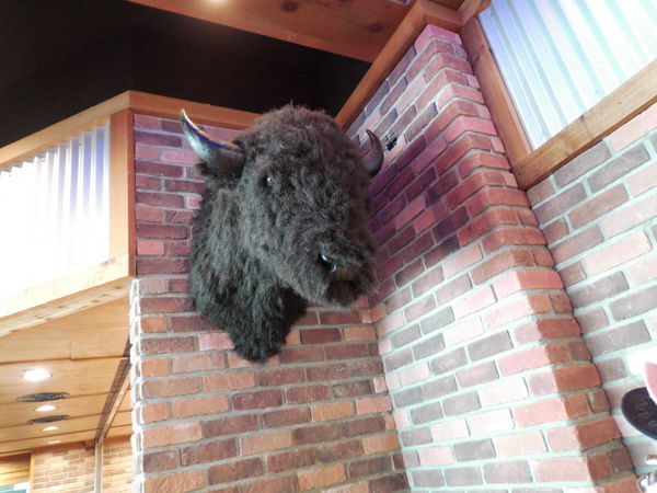 【台北 市府站】Texas Roadhouse Taiwan 德州鮮切牛排 微風松高店 @貝大小姐的多元心宇宙