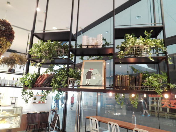 【台北 市府站】松菸裡的 Fuji Tree café @貝大小姐的多元心宇宙