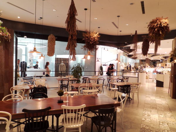 【台北 市府站】松菸裡的 Fuji Tree café @貝大小姐的多元心宇宙