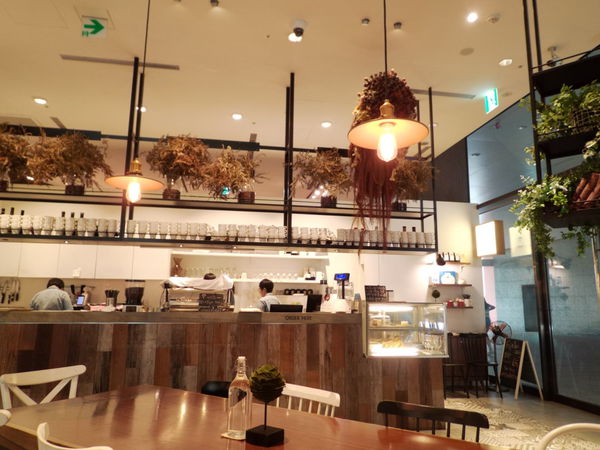【台北 市府站】松菸裡的 Fuji Tree café @貝大小姐的多元心宇宙
