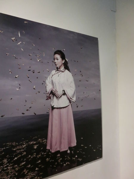 【台南 安平區景點】原英商德記洋行 X 安平樹屋 @貝大小姐的多元心宇宙