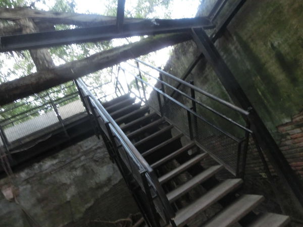 【台南 安平區景點】原英商德記洋行 X 安平樹屋 @貝大小姐的多元心宇宙