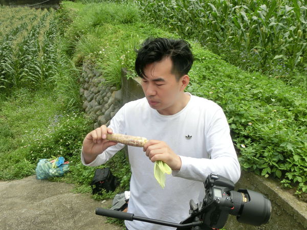 【苗栗 通霄農產品】優嘉農場彩虹玉米 @貝大小姐的多元心宇宙