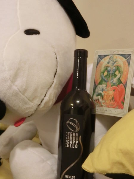 【品味好酒 解密未來】靝麗國際 FERNAND CAPPELLO MEROLT 紅酒 @貝大小姐的多元心宇宙