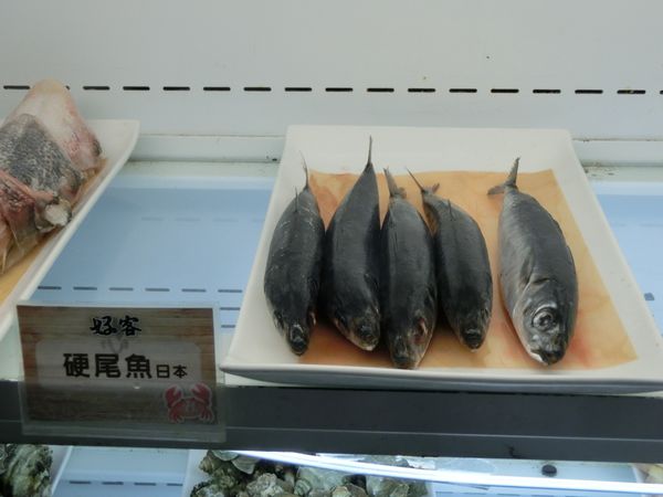 【台北 忠孝復興站美食】台北燒肉-好客燒烤-台北忠孝店 @貝大小姐的多元心宇宙