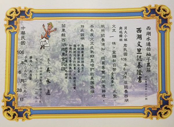 【苗栗 西湖】西湖水通伯柚子農莊 @貝大小姐的多元心宇宙
