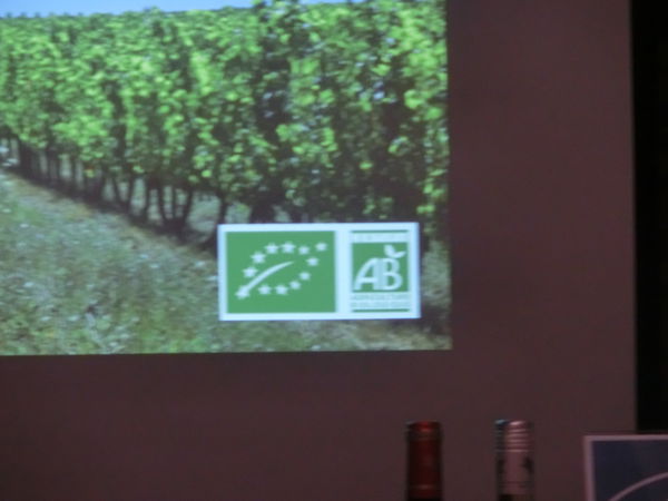 【台北  國父紀念館站】法國翡馬酒莊集團 Bordeaux Vineam @貝大小姐的多元心宇宙