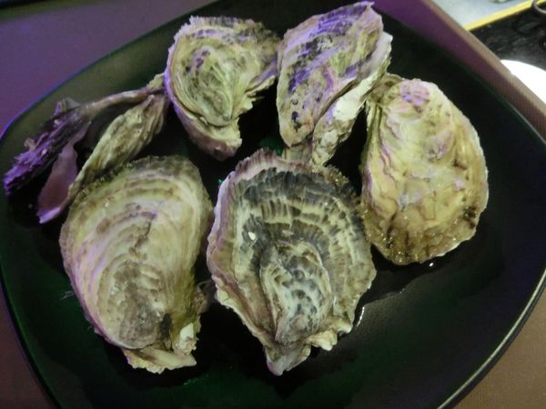 【台北 忠孝敦化站美食】皇上吉饗極品唐風燒肉 （結束營業） @貝大小姐的多元心宇宙