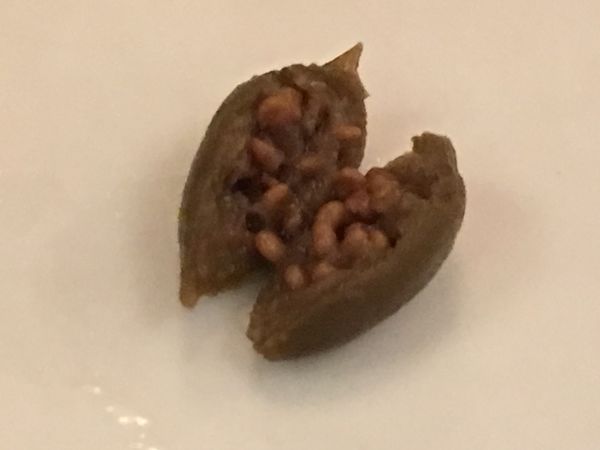 【台北 忠孝復興站美食】Trattoria di Primo 復興店 @貝大小姐的多元心宇宙
