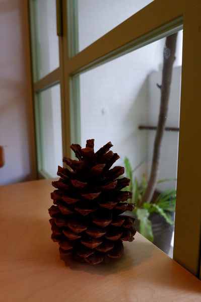 【台北 民生社區美食】 松果院子 Restaurant Pinecone 民生社區／早午餐／下午茶 @貝大小姐的多元心宇宙
