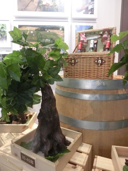 【台北 國父紀念館站】法國翡馬酒莊集團Bordeaux Vineam @貝大小姐的多元心宇宙
