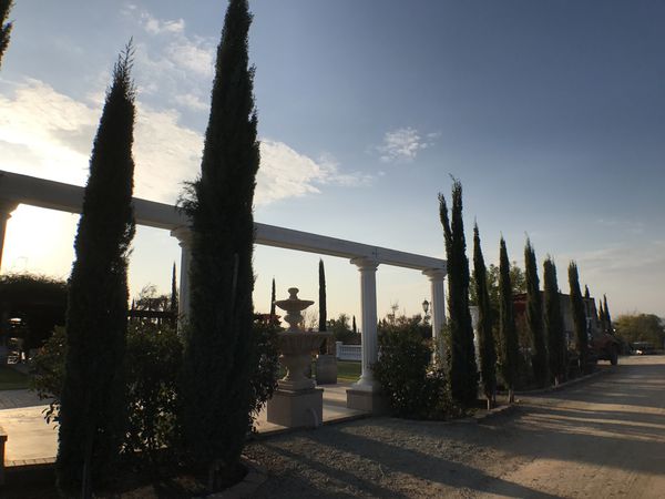 【美國 Temecula酒莊之旅】Thornton Winery、Wilson Creek Winery、Mount Palomar Winery @貝大小姐的多元心宇宙