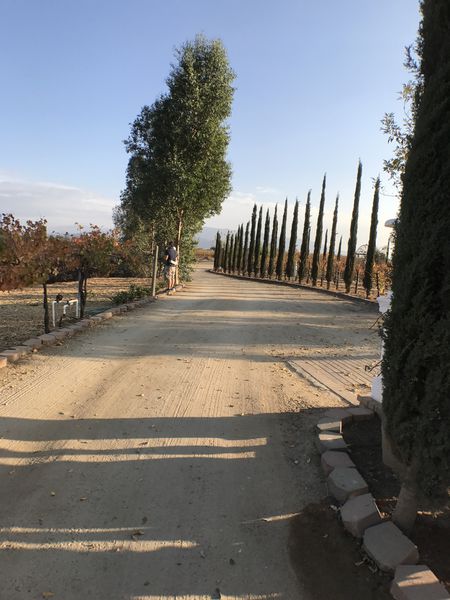【美國 Temecula酒莊之旅】Thornton Winery、Wilson Creek Winery、Mount Palomar Winery @貝大小姐的多元心宇宙