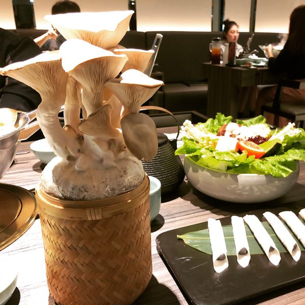 【台北 中山站火鍋】青花驕麻辣鍋 @貝大小姐的多元心宇宙