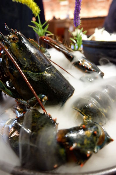 【新竹 東區美食】極鼎鮮鍋物 @貝大小姐的多元心宇宙