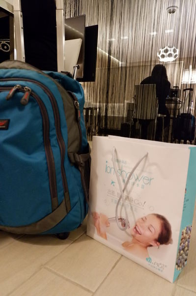【好物推薦】H+Plus 極淨源太極石負離子過濾蓮蓬頭沐浴淨水器 @貝大小姐的多元心宇宙