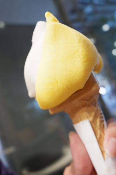 【日本 福岡市博多區】ViTO gelato italiano @貝大小姐的多元心宇宙