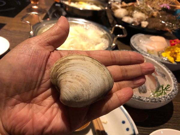 【新竹 竹北美食】二訪：堺坊有機農場直送蔬果 Shabushabu @貝大小姐的多元心宇宙