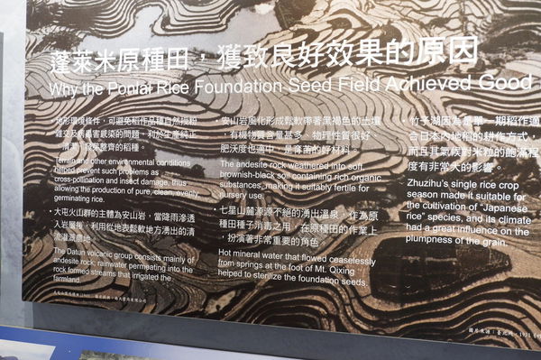 【台北 北投旅遊】台灣好行-暢遊北投好行旅：北投竹子湖線 @貝大小姐的多元心宇宙