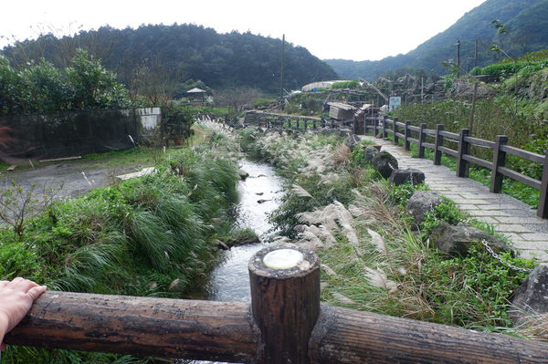 【台北 北投旅遊】台灣好行-暢遊北投好行旅：北投竹子湖線 @貝大小姐的多元心宇宙