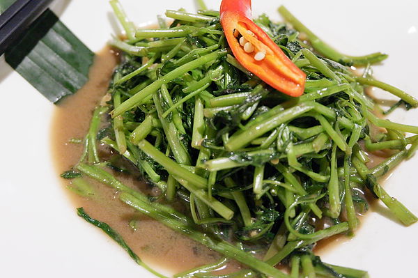 【台北 忠孝復興站美食】Thai cook 泰酷.泰國料理 @貝大小姐的多元心宇宙