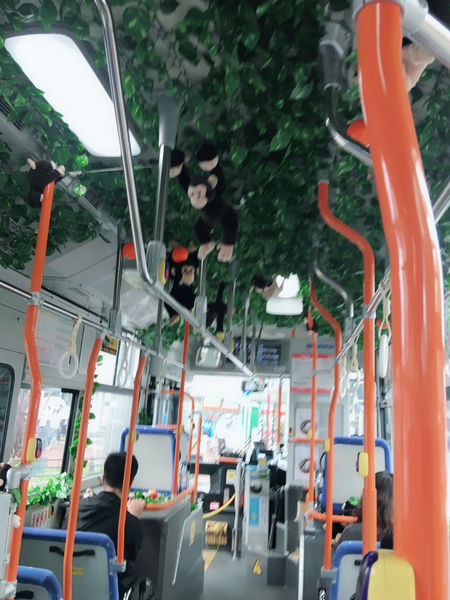 【日本 福岡】福岡公車便利通 @貝大小姐的多元心宇宙