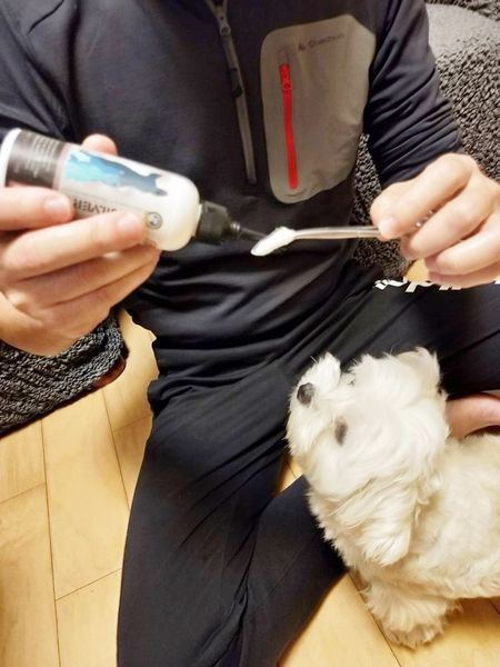 【寵物用品推薦】Dr.SILVER 銀博士長效型寵物潔耳液 @貝大小姐的多元心宇宙