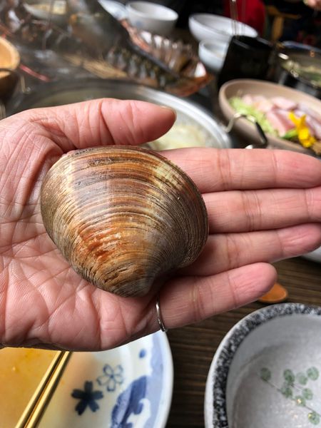 【新竹 竹北美食推薦】堺坊有機農場直送蔬果 Shabushabu N訪 @貝大小姐的多元心宇宙