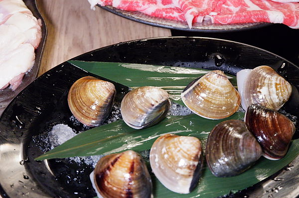 【台北 徐匯中學站】鼎鮮老饕鍋蘆洲旗艦店 @貝大小姐的多元心宇宙