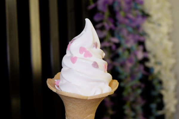 【台中 一中商圈】大勝牛かつ日式平價炸牛排專門店   X 安柏花園 Amber garden flower dounts @貝大小姐的多元心宇宙
