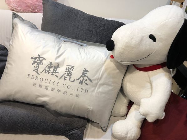 【好物推薦】寶麒麗泰 頸椎守護 &#8211; 黃金比例不挑枕(2公斤) @貝大小姐的多元心宇宙