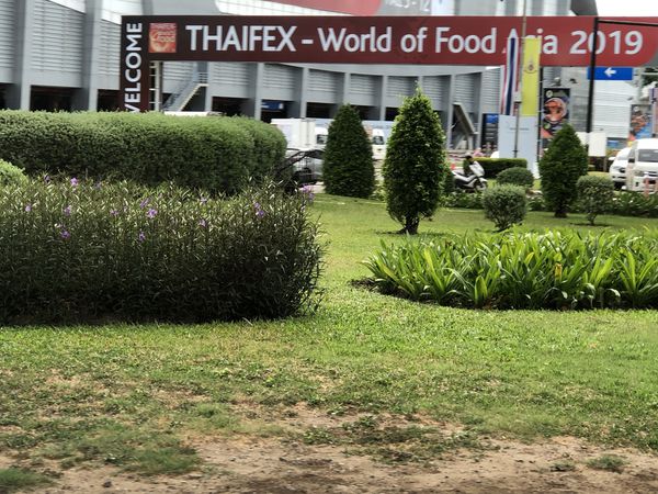 【展會直擊】THAIFEX-World of Food Asia 2019 泰國亞洲美食展 @貝大小姐的多元心宇宙