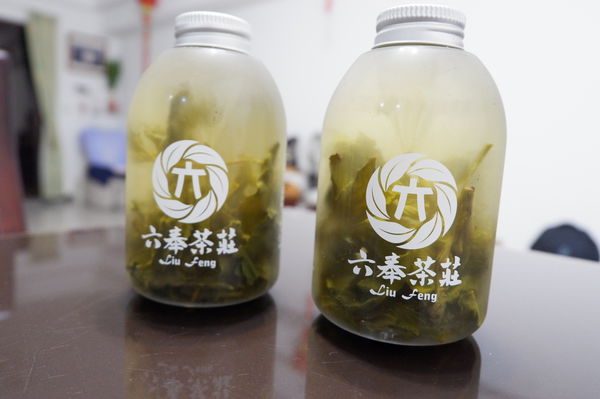 【宅配冷泡茶推薦】六奉茶莊冷泡茶 @貝大小姐的多元心宇宙