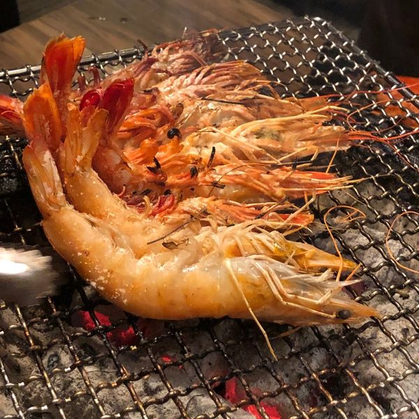 【台北 公館站美食】戰醬燒肉 / 寵物友善燒烤餐廳 / 燒肉吃到飽 @貝大小姐的多元心宇宙