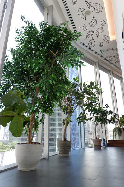 【泰國 曼谷景點】Open House at Central Embassy @貝大小姐的多元心宇宙