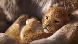 【電影】獅子王The Lion King @貝大小姐的多元心宇宙