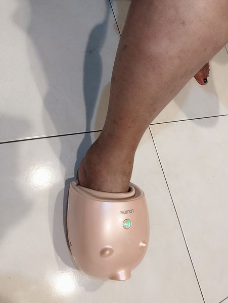 【日本按摩家電】Lourdes小豬手腳按摩器 @貝大小姐的多元心宇宙