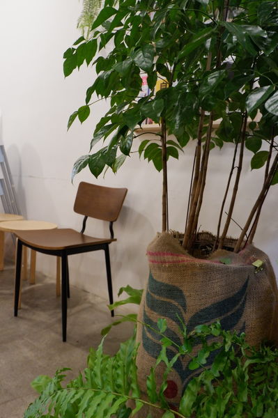 【新北 板橋江子翠早午餐推薦】辰時開店 Brunch x Farm to Table @貝大小姐的多元心宇宙