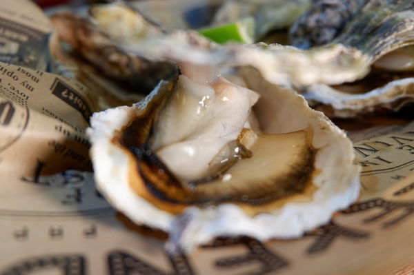 【新北 府中站美食】火夯seafood 海鮮燒烤 @貝大小姐的多元心宇宙