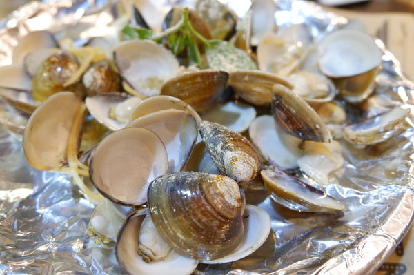 【新北 府中站美食】火夯seafood 海鮮燒烤 @貝大小姐的多元心宇宙