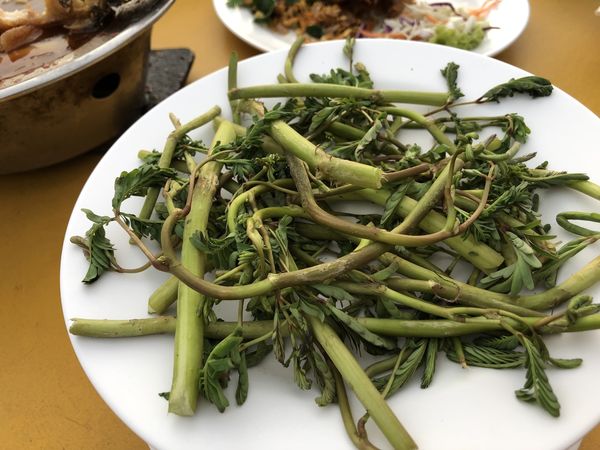 【泰國 曼谷美食】哇萊篷餐廳 เรืองฤทธิ์ ซีฟู้ด Ruengrit Seafood @貝大小姐的多元心宇宙