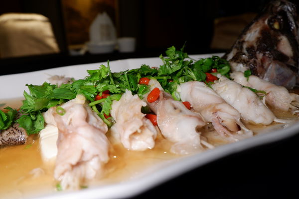 【桃園 龍潭美食】蔣府宴 Chiang Fu Yan @貝大小姐的多元心宇宙