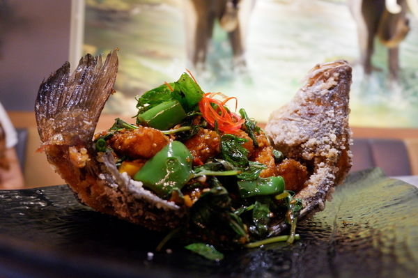 【Taiwan Taipei】Thai Cook泰酷．泰式料理タイ料理 @貝大小姐的多元心宇宙