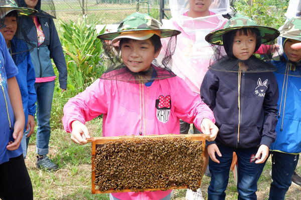 【桃園 八德】田園創作工房chi nature garden @貝大小姐的多元心宇宙