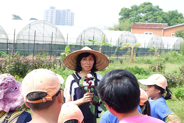 【桃園 八德】田園創作工房chi nature garden @貝大小姐的多元心宇宙