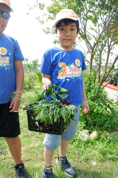 【桃園 八德】田園創作工房chi nature garden @貝大小姐的多元心宇宙