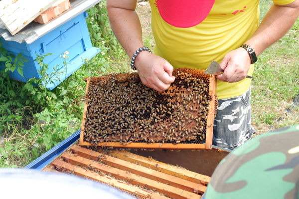 【桃園 八德】田園創作工房chi nature garden @貝大小姐的多元心宇宙