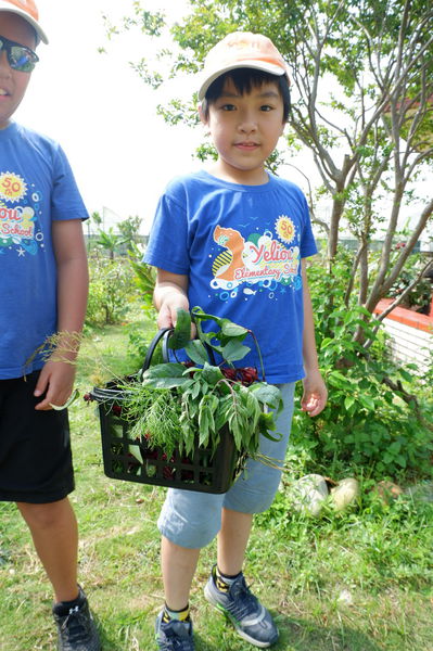 【Taiwan Taoyuan】田園創作工房chi nature garden  チェリーさんの自然農園 @貝大小姐的多元心宇宙